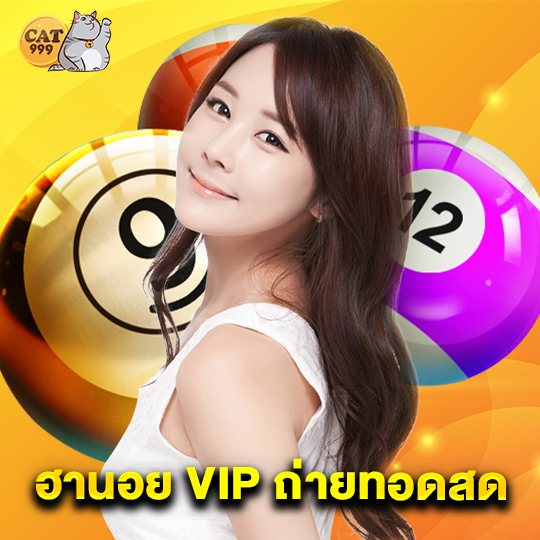 cat999 หวยฮานอย VIP ถ่ายทอดสด